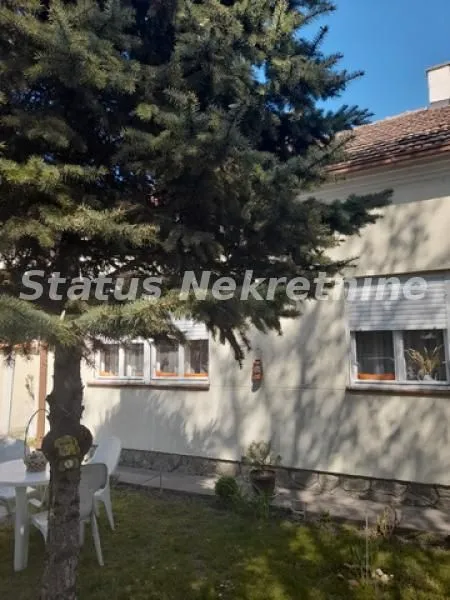 Pogled na dvorište i fasadu kuće sa velikim drvetom.