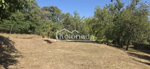 Pogled na plac sa drvećem i zelenilom. - image 18