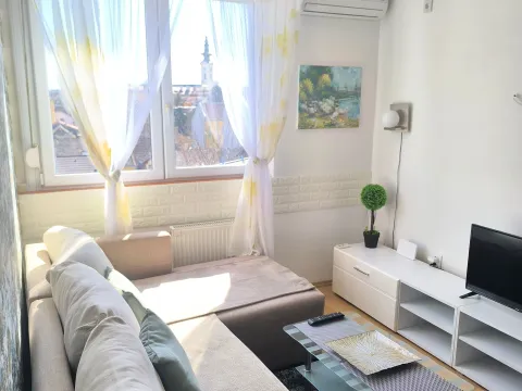 Rent, one bedroom apartment, 31m², Centar, Novi Sad - image 3