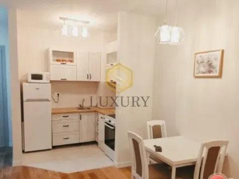Izdavanje, jednosoban stan, 43m², Central Point, Podgorica