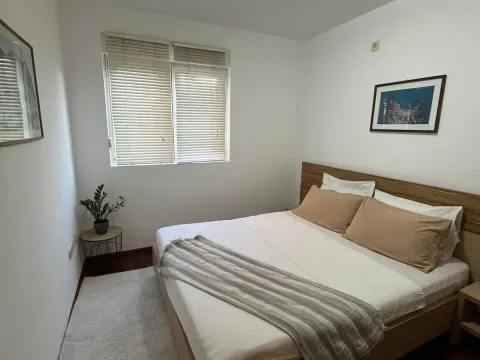 Rent, one bedroom apartment, 44m², Stari Aerodrom, Podgorica - image 1