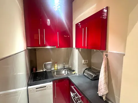 Izdavanje, dvosoban stan, 51m², Vračar Sve Podlokacije, Beograd - image 5