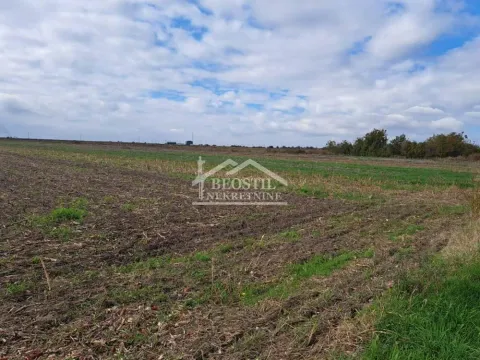 Prodaja, plac, 6156m², Batajnica, Beograd - image 13