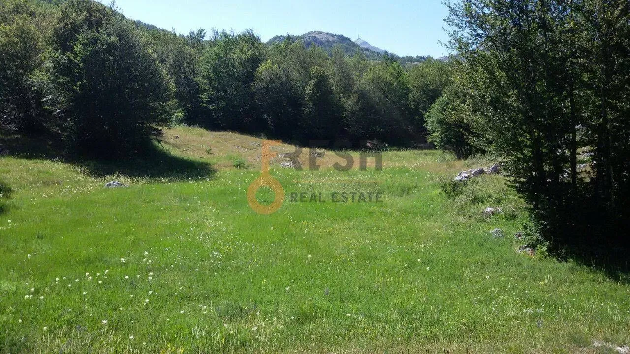 Prodaja, plac, 100000m², Cetinje, Crna Gora