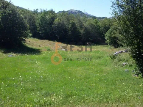 Prodaja, plac, 100000m², Cetinje, Crna Gora - image 12