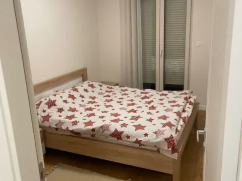 Izdavanje, jednosoban stan, 47m², Central Point, Podgorica - image 8