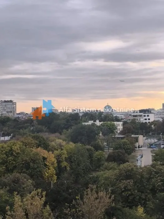 View of the city and park in the distance from the property.