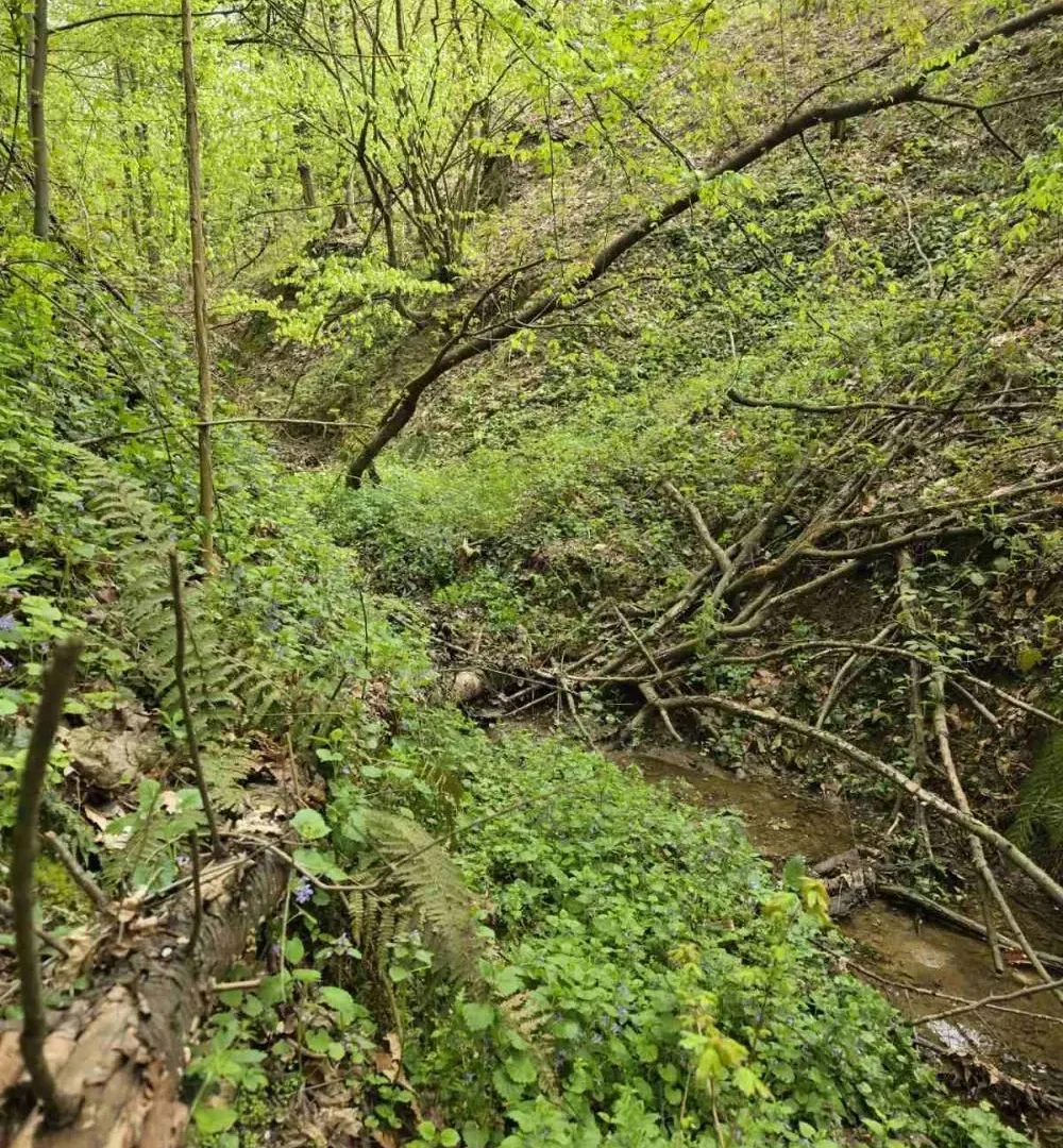 Prodaja, plac, 12800m², Bukovik, Arandjelovac