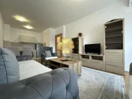 Izdavanje, jednosoban stan, 50m², Stari Aerodrom, Podgorica - image 4