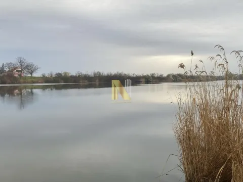 Sale, land lot, 22m², Čurug, Žabalj