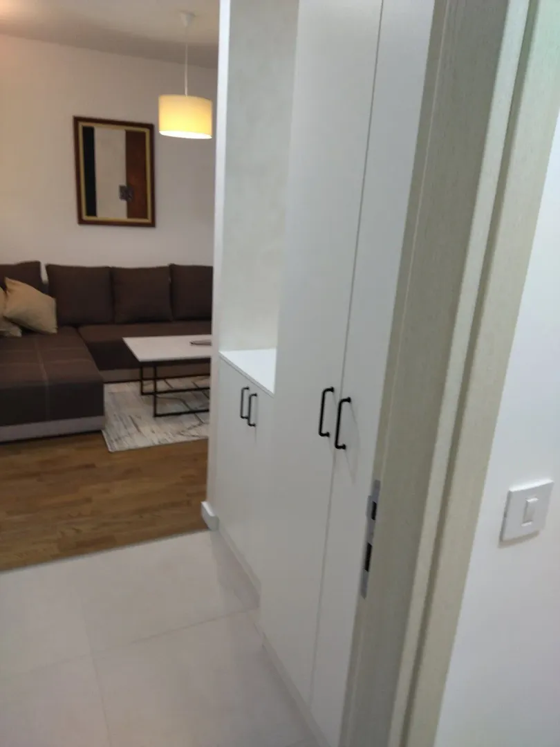 View from the hallway towards the living room with a sofa and built-in closets.