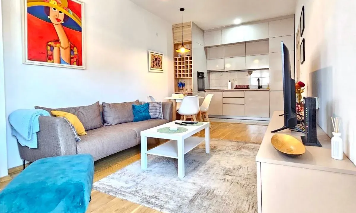 Rent, one bedroom apartment, 45m², Blok 6, Podgorica