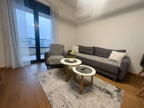 Izdavanje, jednosoban stan, 59m², Stara Varoš, Podgorica - image 3