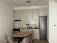 Rent, one bedroom apartment, 48m², Ilino, Bar - image 8