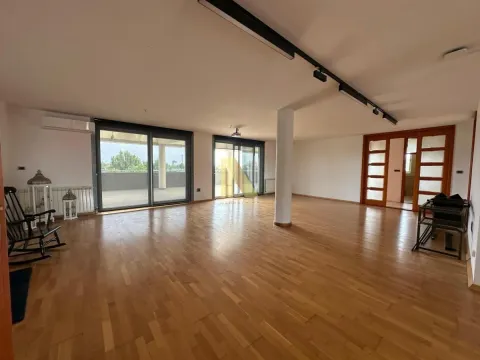 Rent, office space, 345m², Avijatičarsko naselje, Novi Sad Sve Podlokacije - image 15