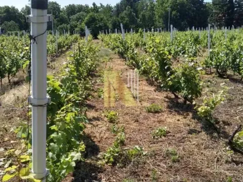 Prodaja, plac, 932m², Petrovaradin, Novi Sad - image 1