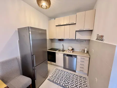 Izdavanje, jednosoban stan, 50m², Stara Varoš, Podgorica - image 7