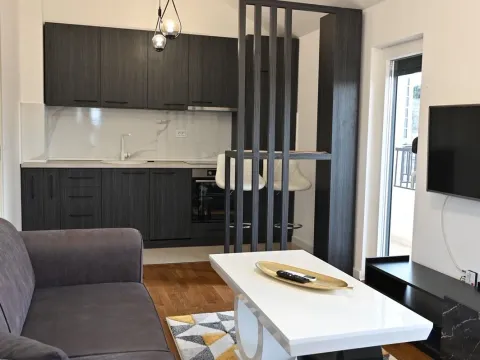 Rent, one bedroom apartment, 50m², Zagorič, Podgorica - image 3