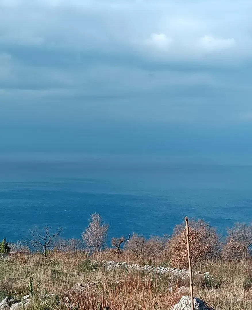 Prodaja, plac, 740m², Blizikuće, Budva