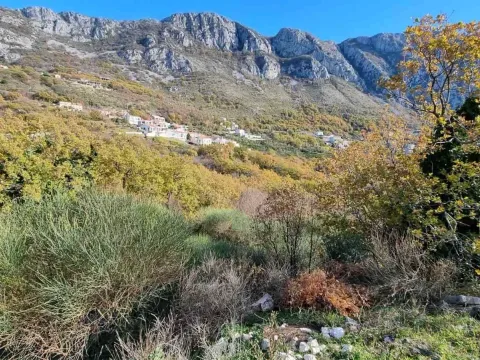Prodaja, plac, 5343m², Tudorovići, Budva - image 2