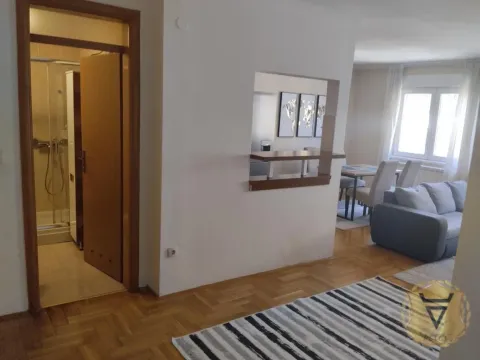 Izdavanje, dvosoban stan, 63m², Lion, Zvezdara Sve Podlokacije - image 3