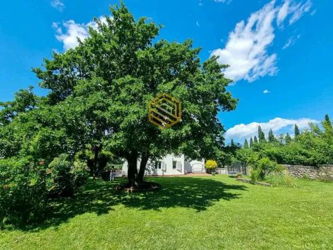 Rent, house, 270m², Mareza, Podgorica - image 13