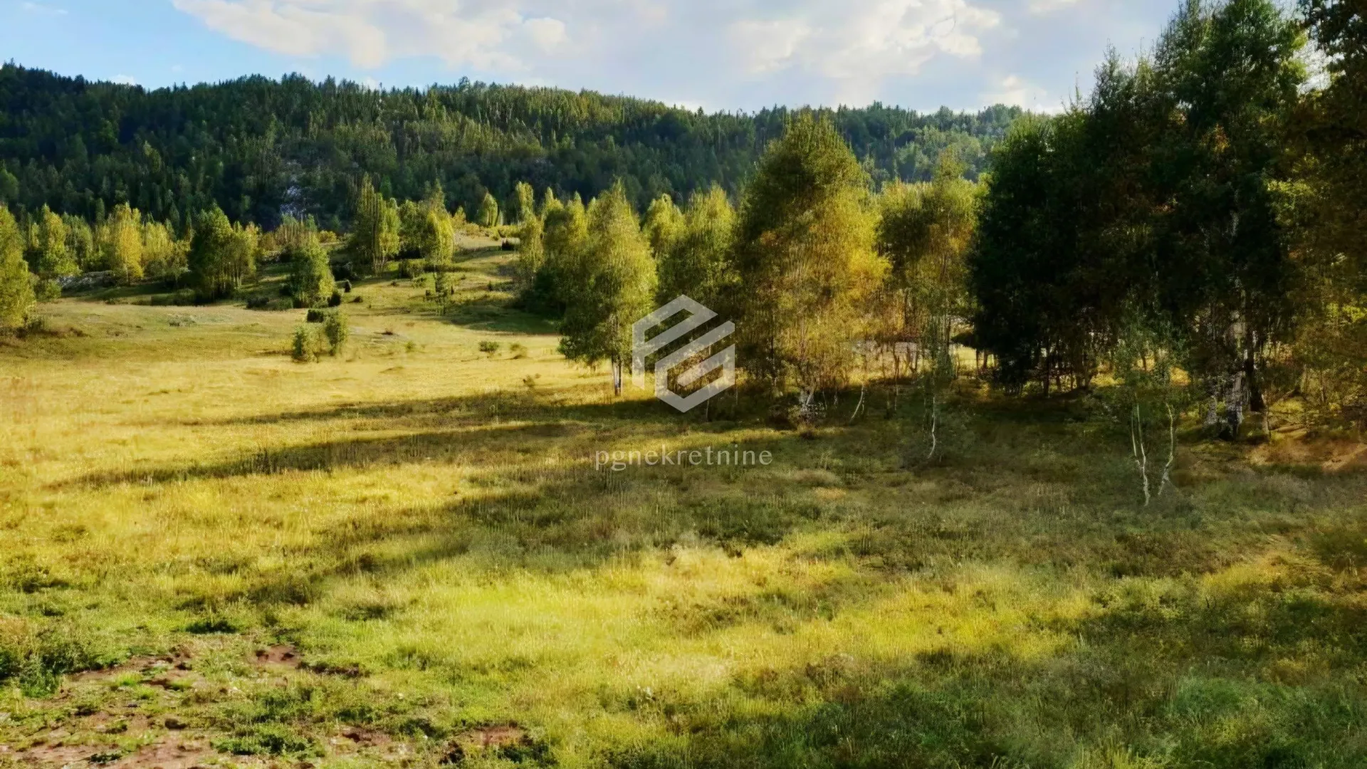 Prodaja, plac, 91611m², Žabljak, Crna Gora