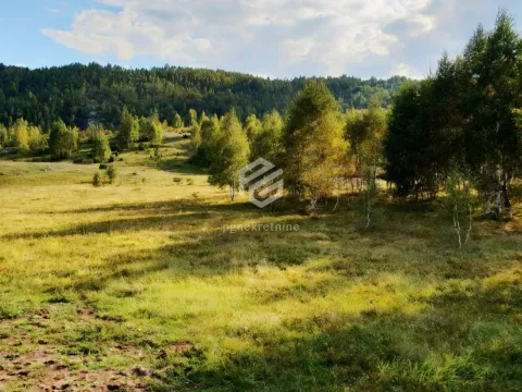 Sale, apartment, 91611m², Žabljak, Crna Gora - image 3