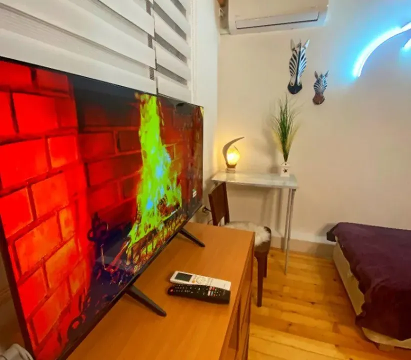 Stan-na-dan, jednosoban stan, 30m², Zemun Centar, Zemun Sve Podlokacije