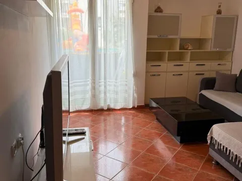 Izdavanje, jednosoban stan, 45m², Seljanovo, Tivat - image 6