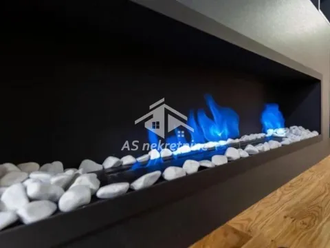 Izdavanje, dvosoban stan, 55m², Južni Bulevar, Vračar Sve Podlokacije - image 3