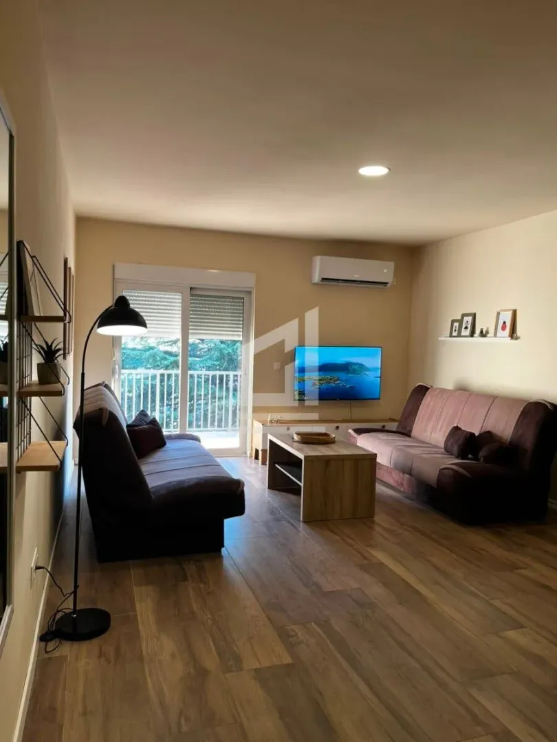 Living room with two sofas, coffee table, TV, and access to the terrace.