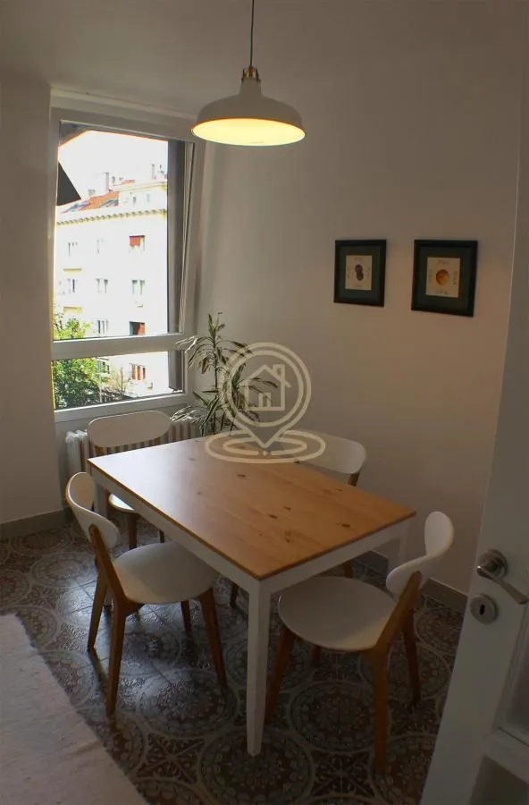 Izdavanje, dvosoban stan, 55m², Vračar Sve Podlokacije, Beograd