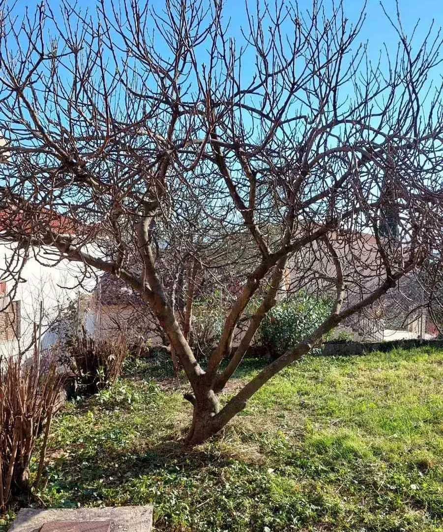 Sale, house, 240m², Bar, Crna Gora