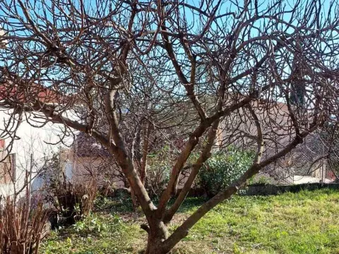 Prodaja, kuća, 240m², Bar, Crna Gora - image 10