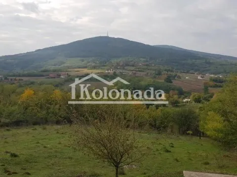 Sale, house, 120m², Nemenikuće, Sopot - image 5