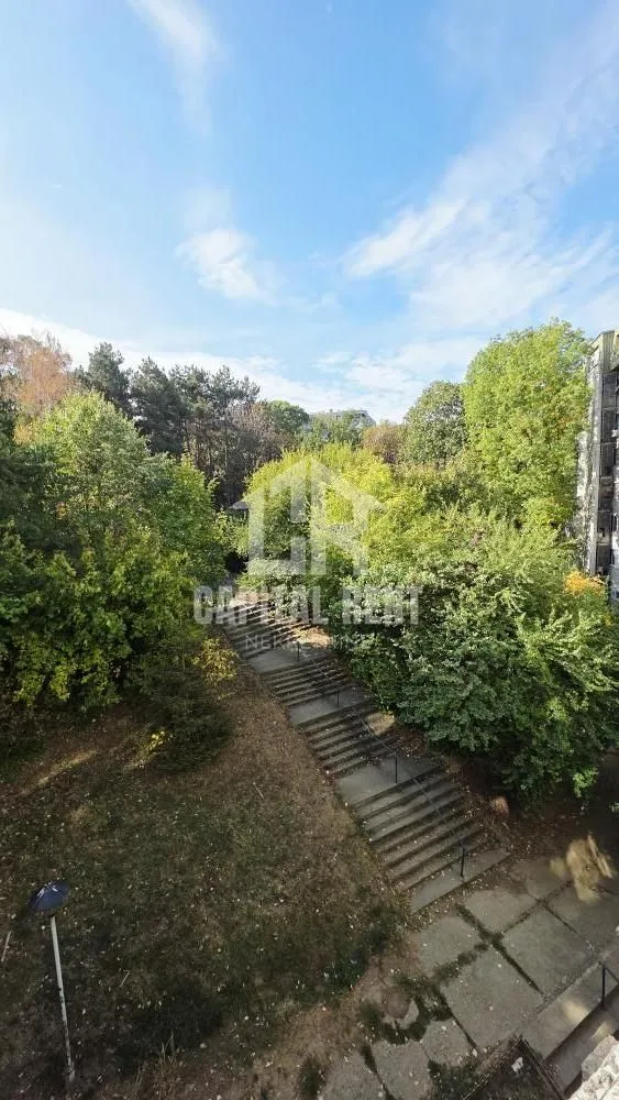 View from the window overlooking a green area and trees.