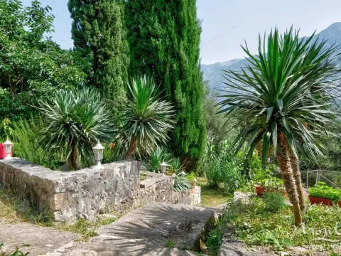 Sale, house, 174m², Muo, Kotor - image 34