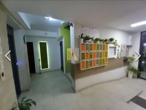 Izdavanje, jednosoban stan, 33m², Nova Detelinara, Novi Sad Sve Podlokacije - image 7