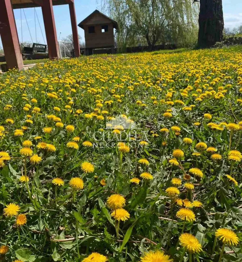 Rent, house, 200m², Surčin, Beograd