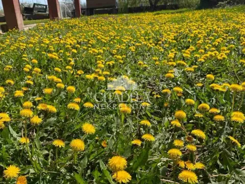 Rent, house, 200m², Surčin, Beograd - image 15