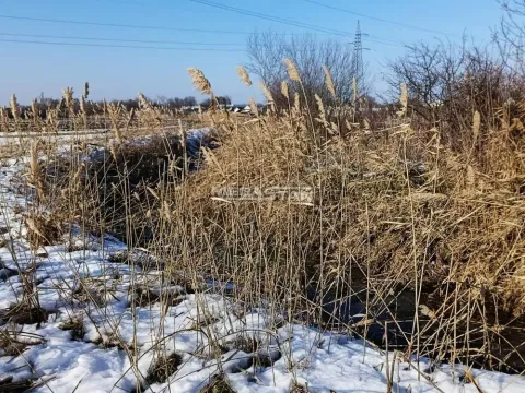 Prodaja, plac, 480m², Stari Tamiš, Pančevo - image 6