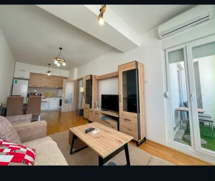 Rent, one bedroom apartment, 44m², Ljubović, Podgorica - image 2