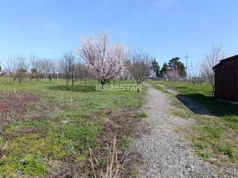 Sale, land lot, 4306m², Čukarica, Beograd - image 4