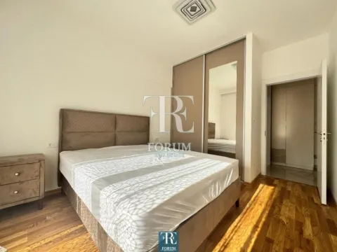 Izdavanje, jednosoban stan, 50m², Vezirov Most, Podgorica - image 9