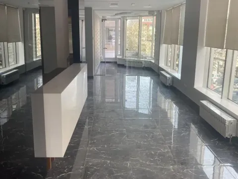 Izdavanje, poslovni prostor, 300m², Savski Venac, Beograd - image 3