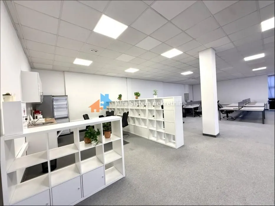 Rent, office space, 230m², Novi Beograd Sve Podlokacije, Beograd