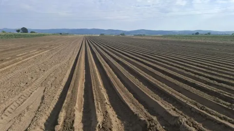 Prodaja, plac, 27500m², Futog, Novi Sad Sve Podlokacije - image 6