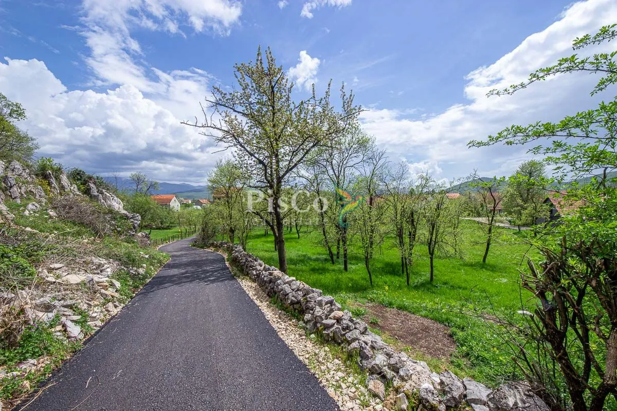 Prodaja, plac, 1241m², Nikšić, Crna Gora