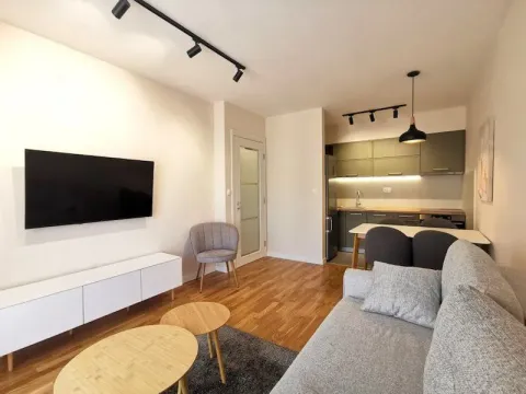 Izdavanje, stan, 40m2, Pobrežje, Podgorica Izdavanje, stan, 40m2, Pobrežje, Podgorica